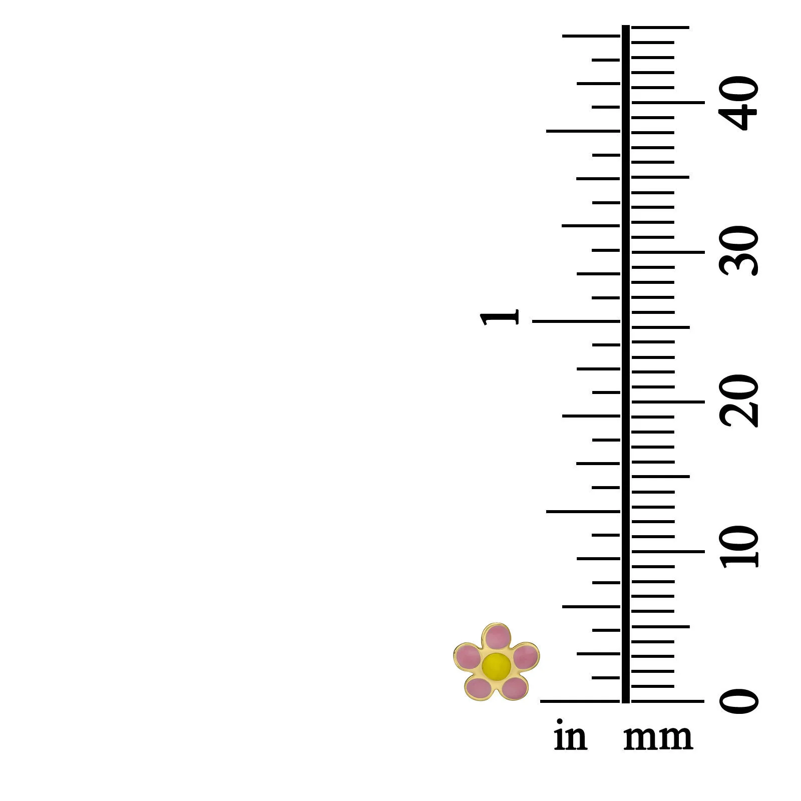 תמונת מוצר 4