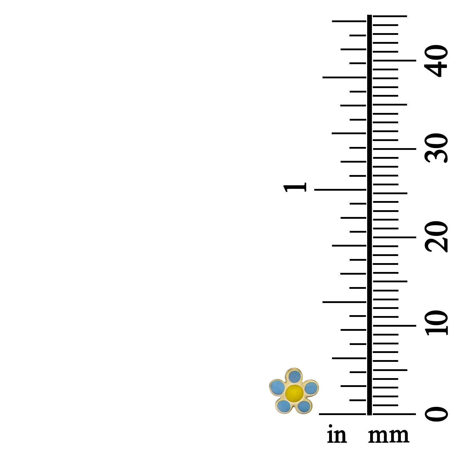 תמונת מוצר 4