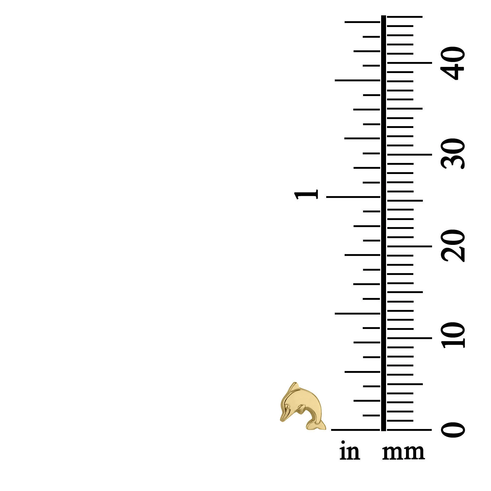 תמונת מוצר 4
